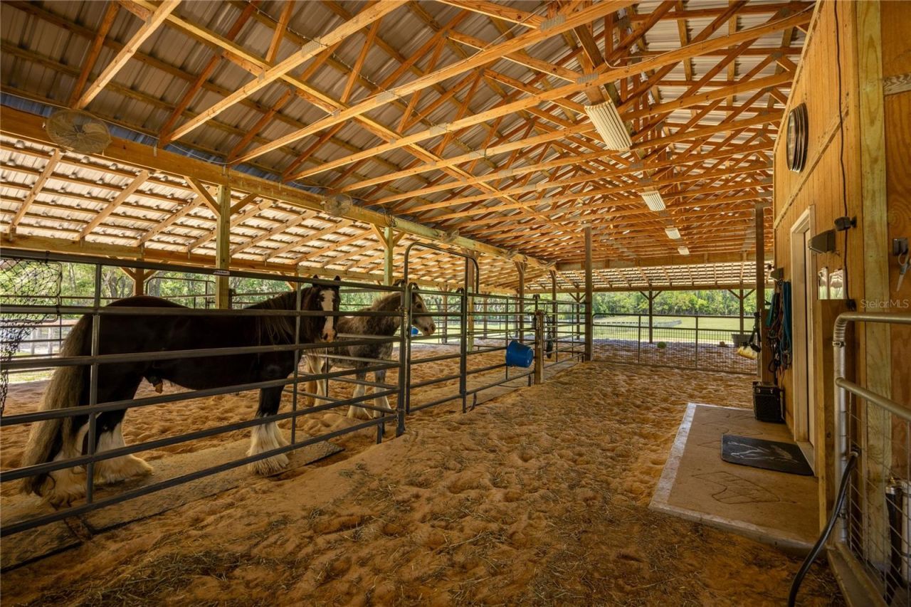 9004 NW 226th Street, Alachua, FL 32615 Photo