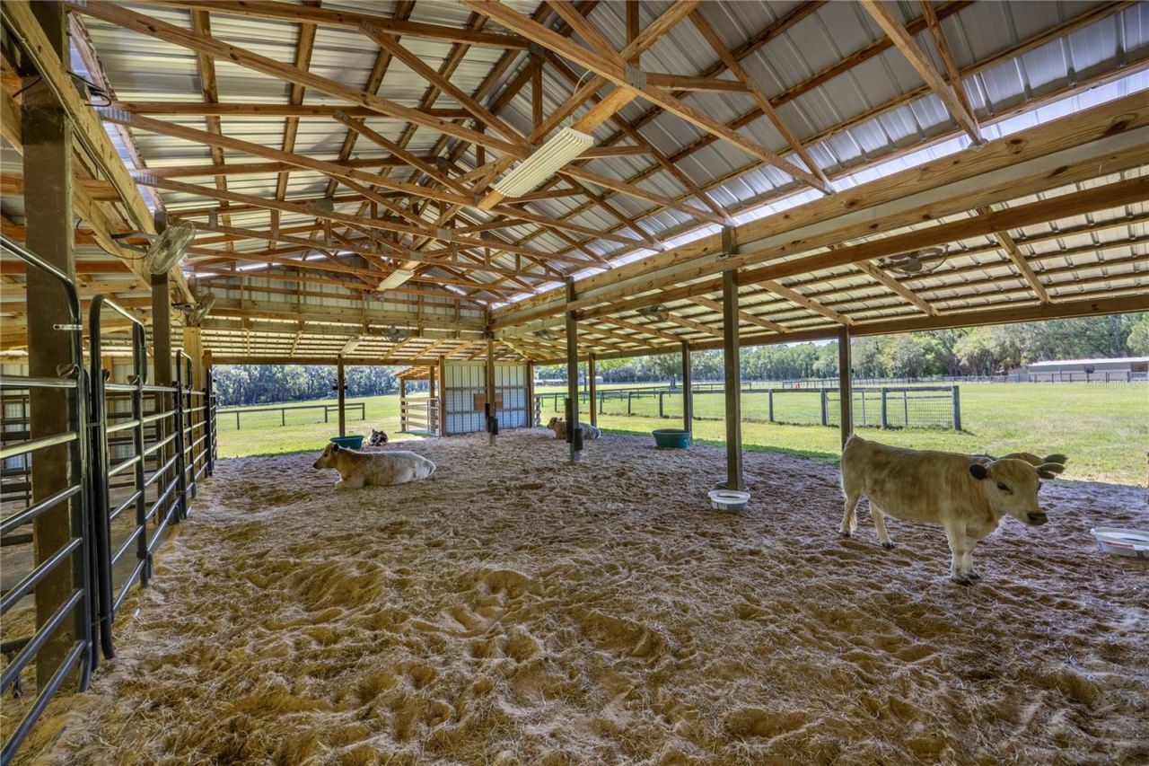 9004 NW 226th Street, Alachua, FL 32615 Photo