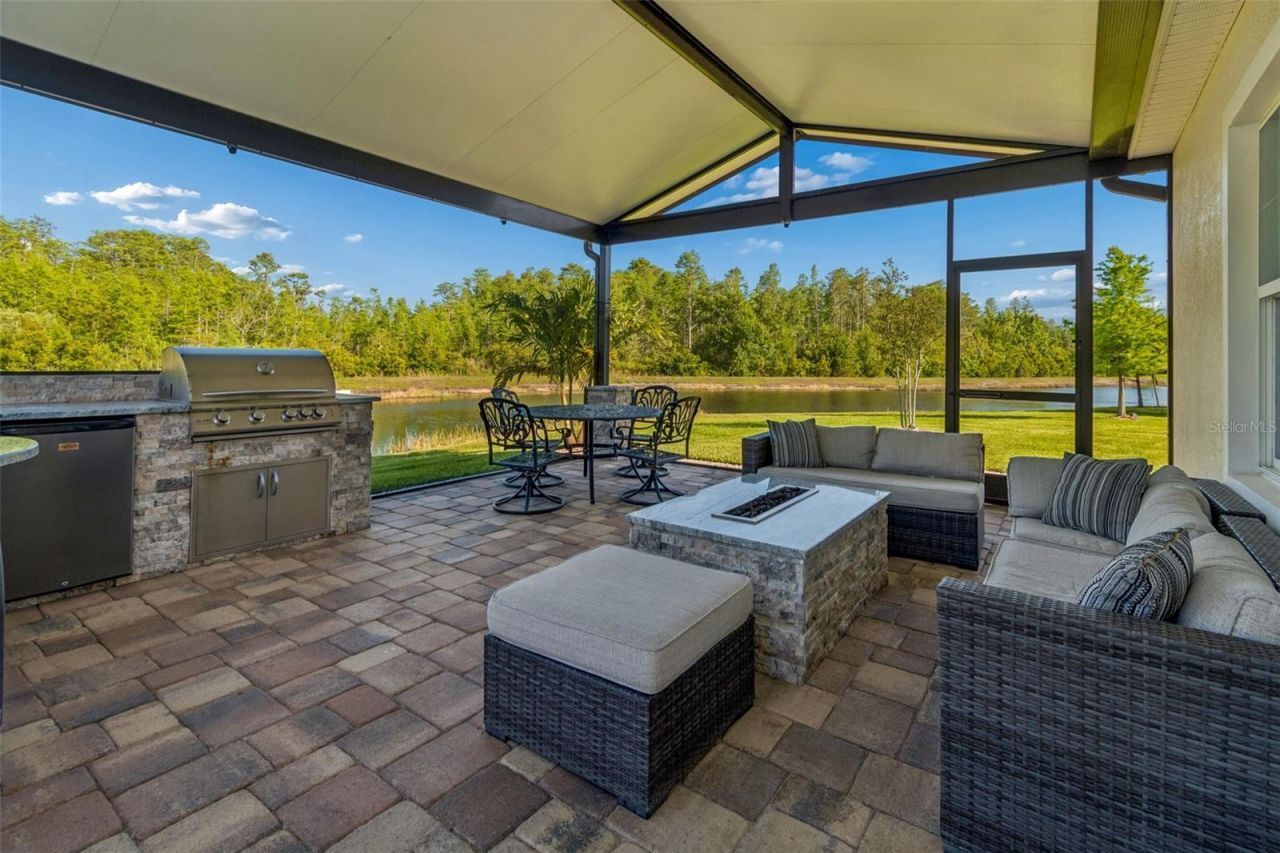 8768 Birchleaf Court, Land O Lakes, FL 34637 Photo
