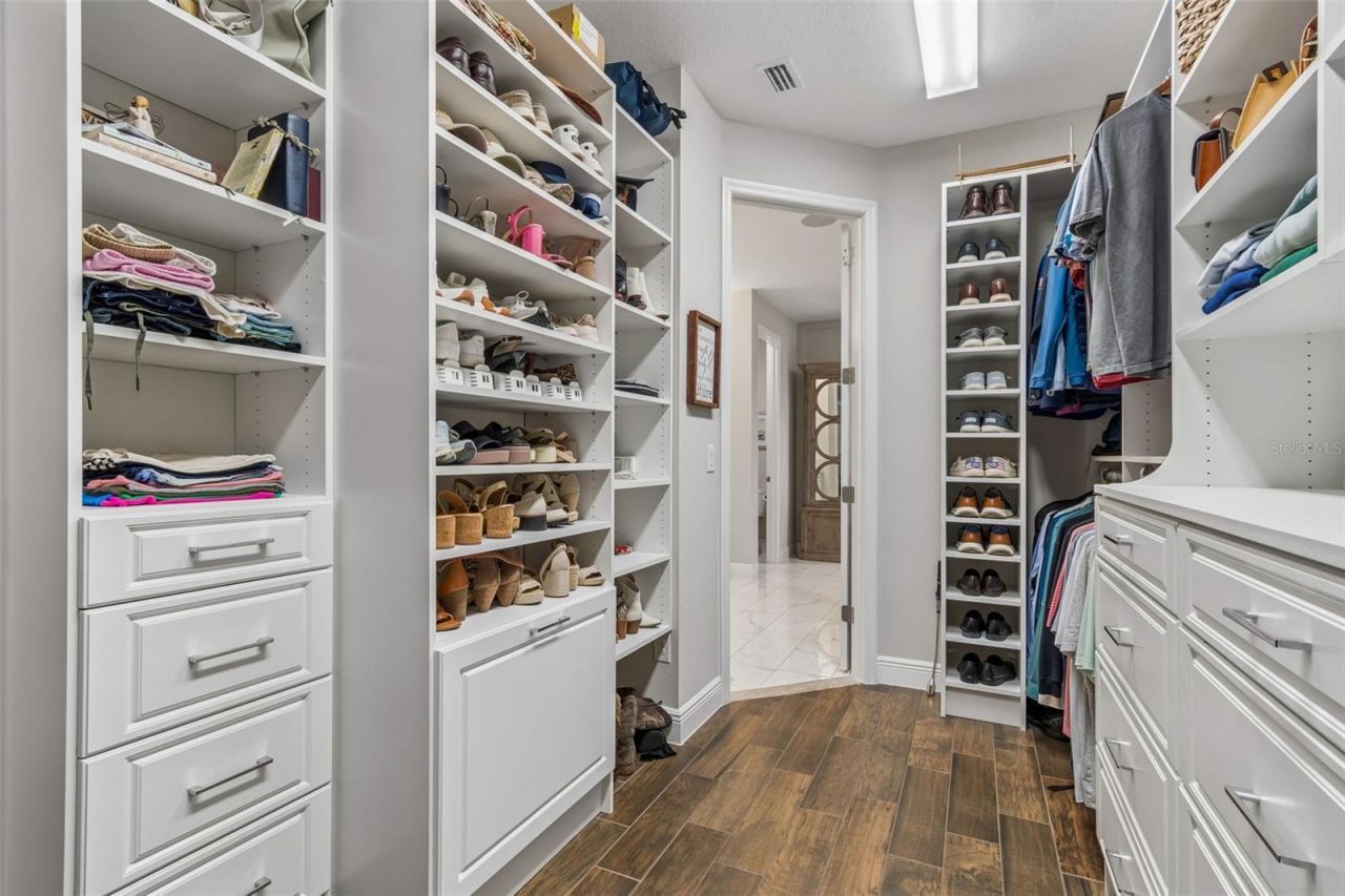 8768 Birchleaf Court, Land O Lakes, FL 34637 Photo