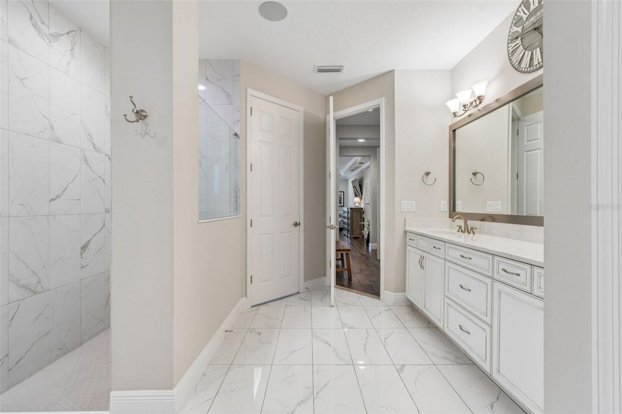 8768 Birchleaf Court, Land O Lakes, FL 34637 Photo