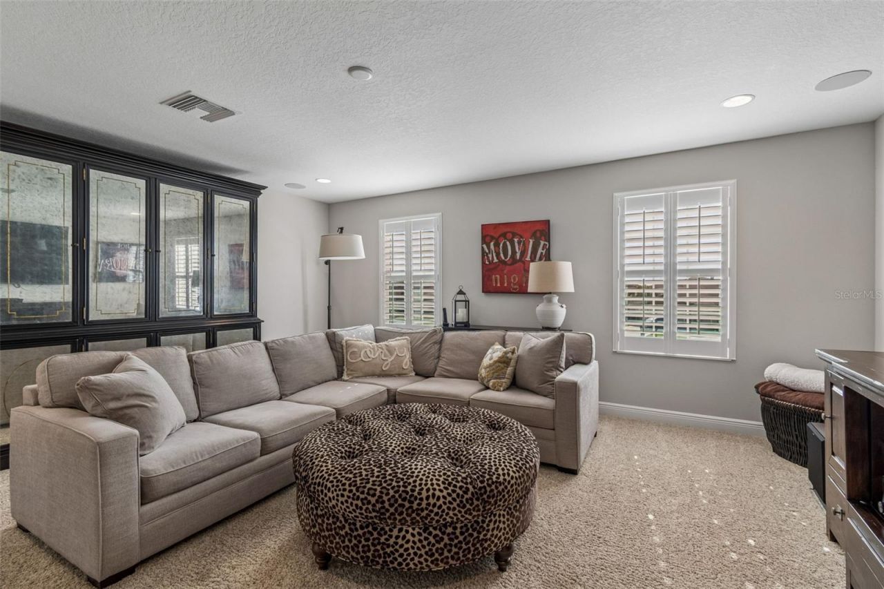 8768 Birchleaf Court, Land O Lakes, FL 34637 Photo