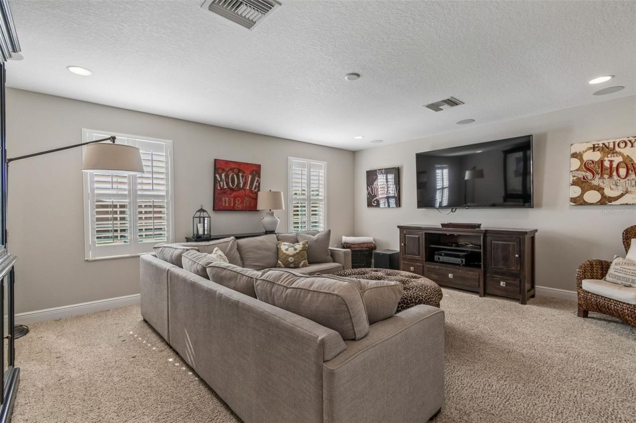 8768 Birchleaf Court, Land O Lakes, FL 34637 Photo