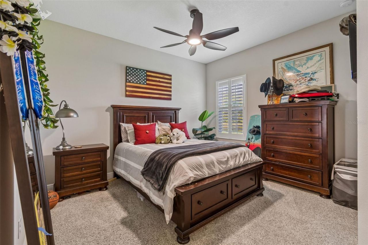 8768 Birchleaf Court, Land O Lakes, FL 34637 Photo