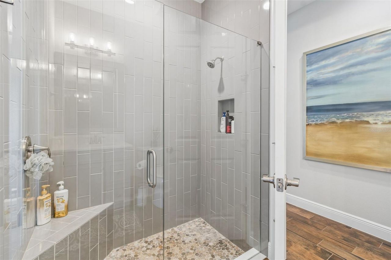 8768 Birchleaf Court, Land O Lakes, FL 34637 Photo