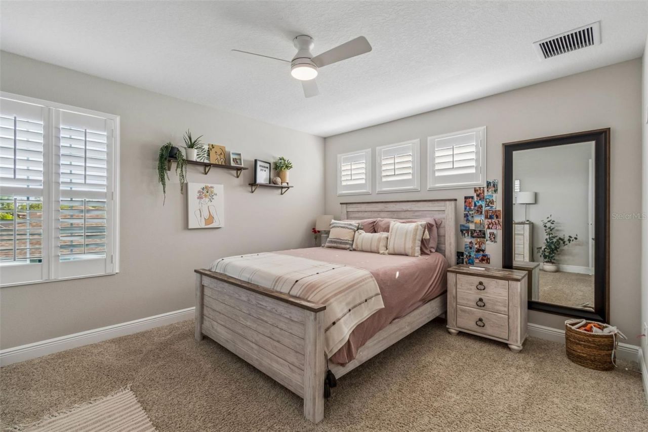 8768 Birchleaf Court, Land O Lakes, FL 34637 Photo