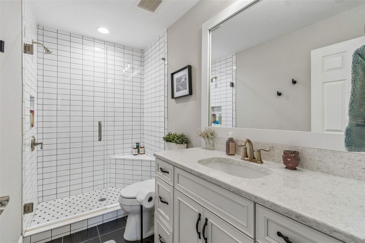 8768 Birchleaf Court, Land O Lakes, FL 34637 Photo