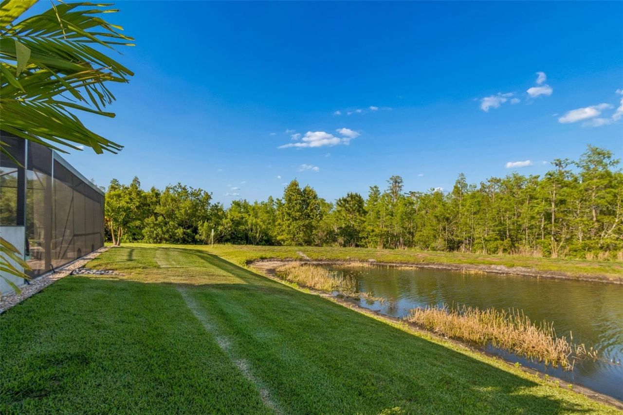 8768 Birchleaf Court, Land O Lakes, FL 34637 Photo