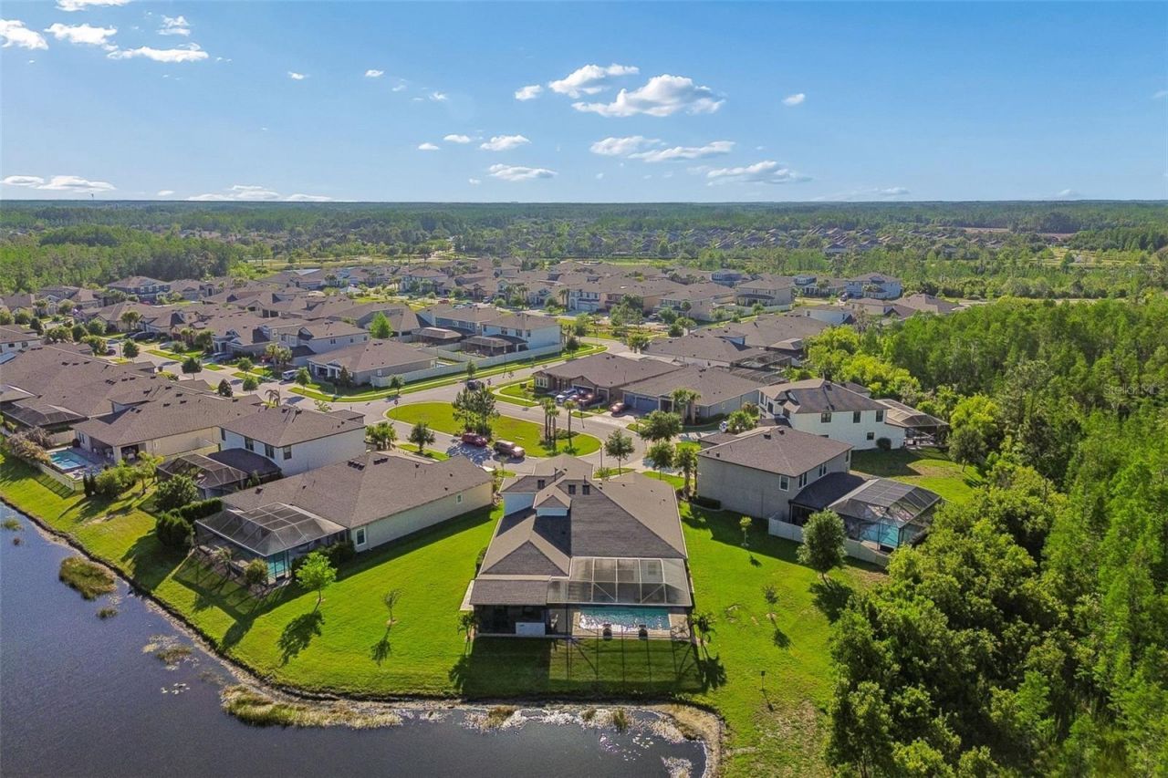 8768 Birchleaf Court, Land O Lakes, FL 34637 Photo