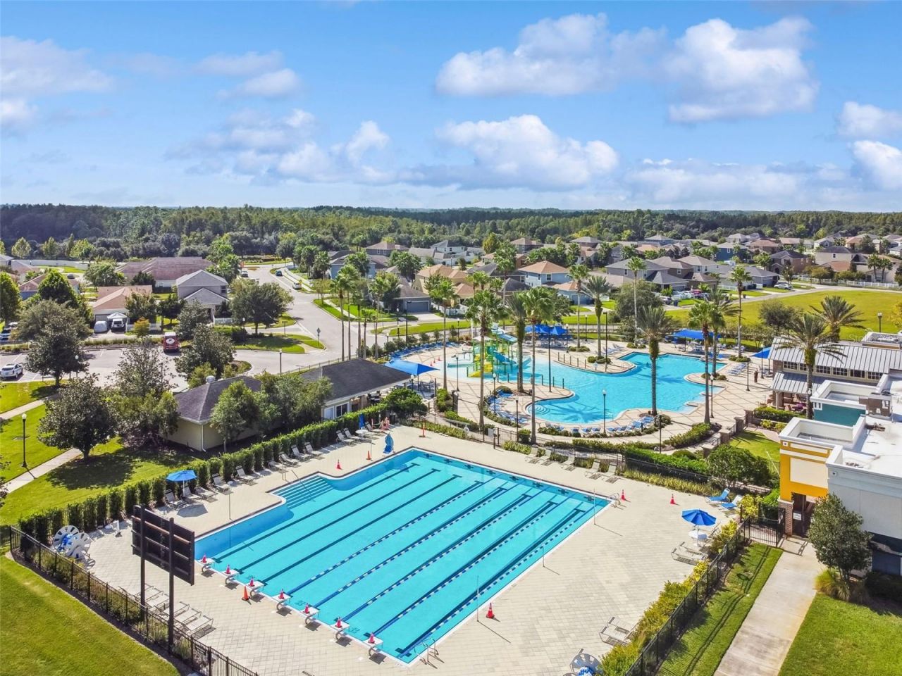 8768 Birchleaf Court, Land O Lakes, FL 34637 Photo