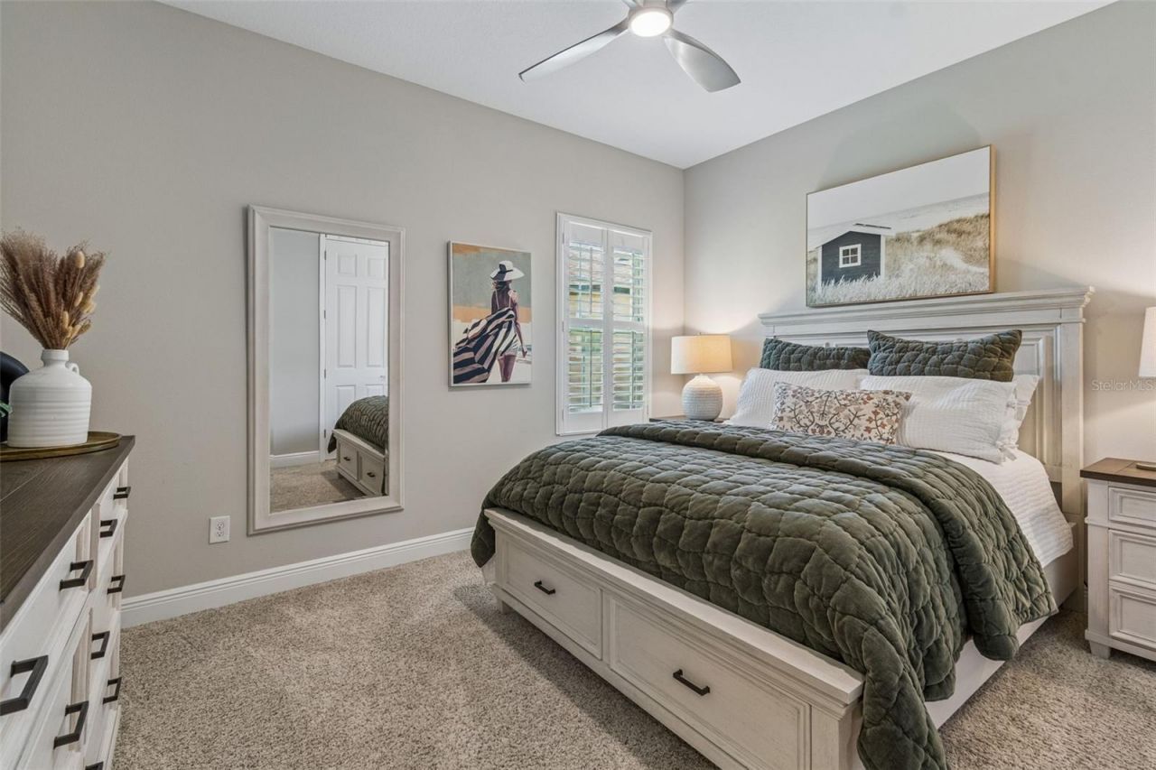 8768 Birchleaf Court, Land O Lakes, FL 34637 Photo