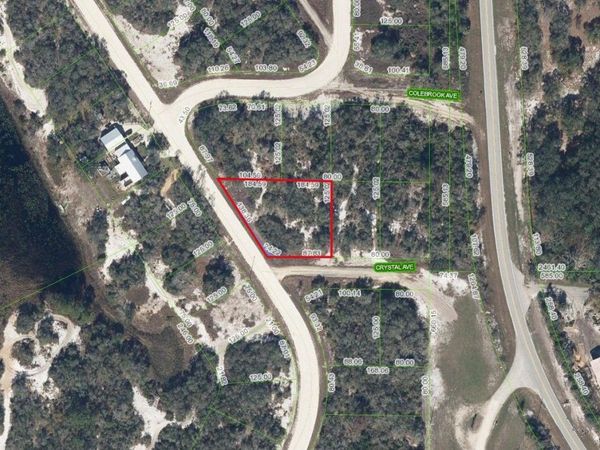 229 LAKELAND DRIVE , LAKE PLACID, FL 33852