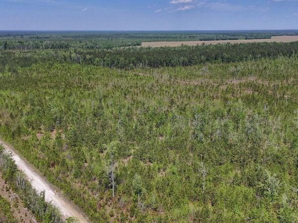 0 Guinea Mill Road, Ernul, NC 28527