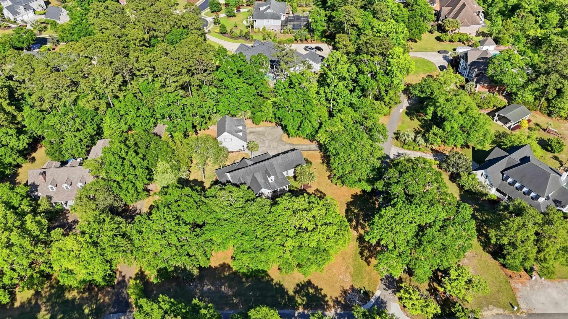 3379 Shadow Moss Ln. Photo 77