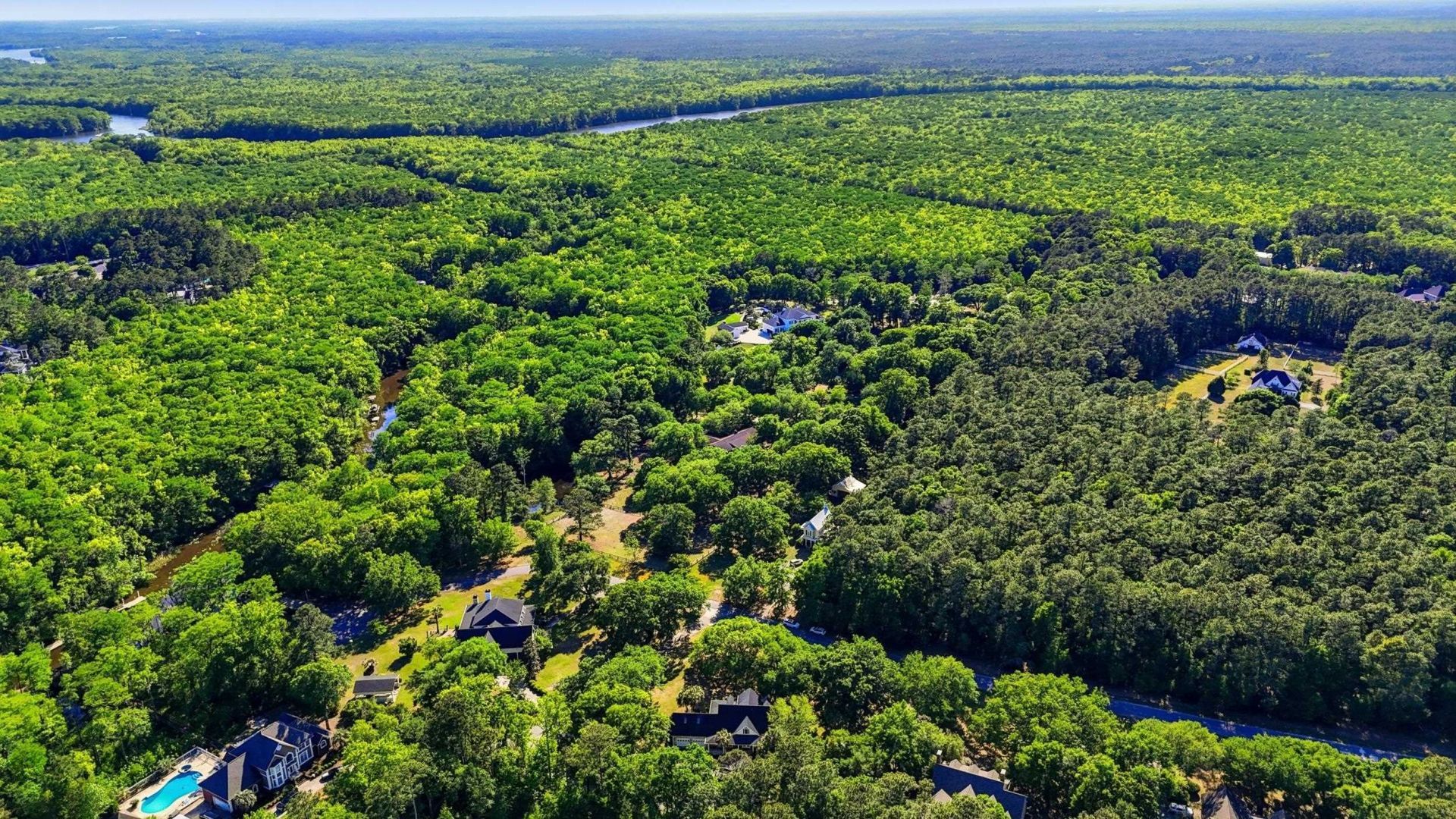 3379 Shadow Moss Ln. Photo 83