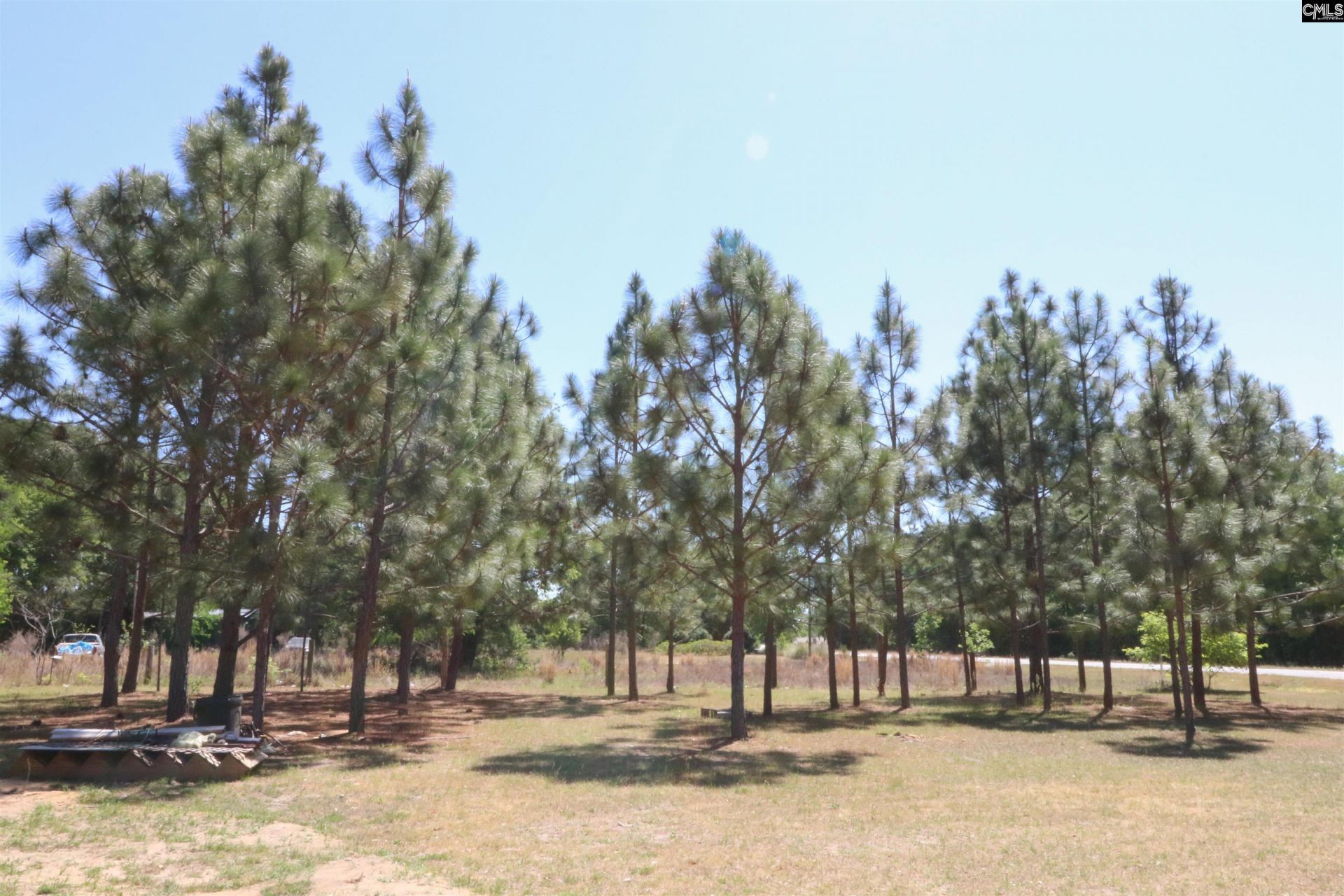 6227 Hollow Creek Road Photo 31