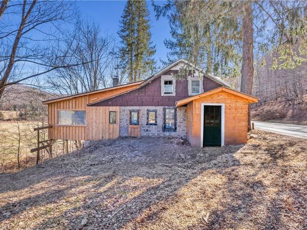 484 N Branch Callicoon Ctr Road, Callicoon, NY 12766