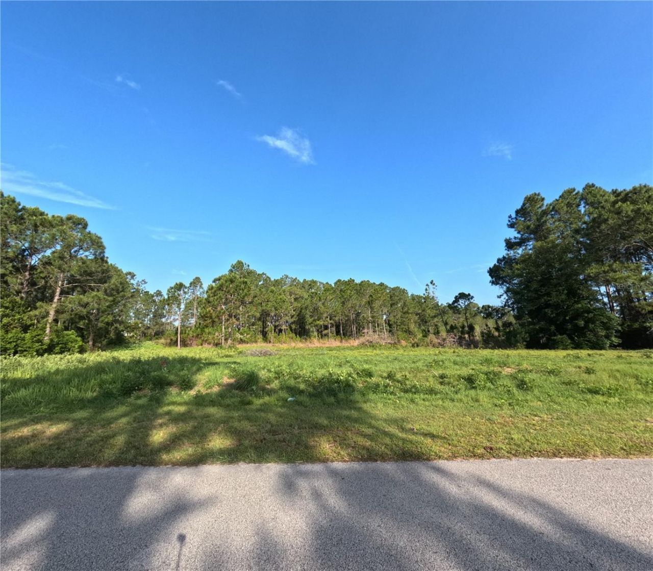 11031 Arrowtree Boulevard, Clermont, FL 34715 Photo