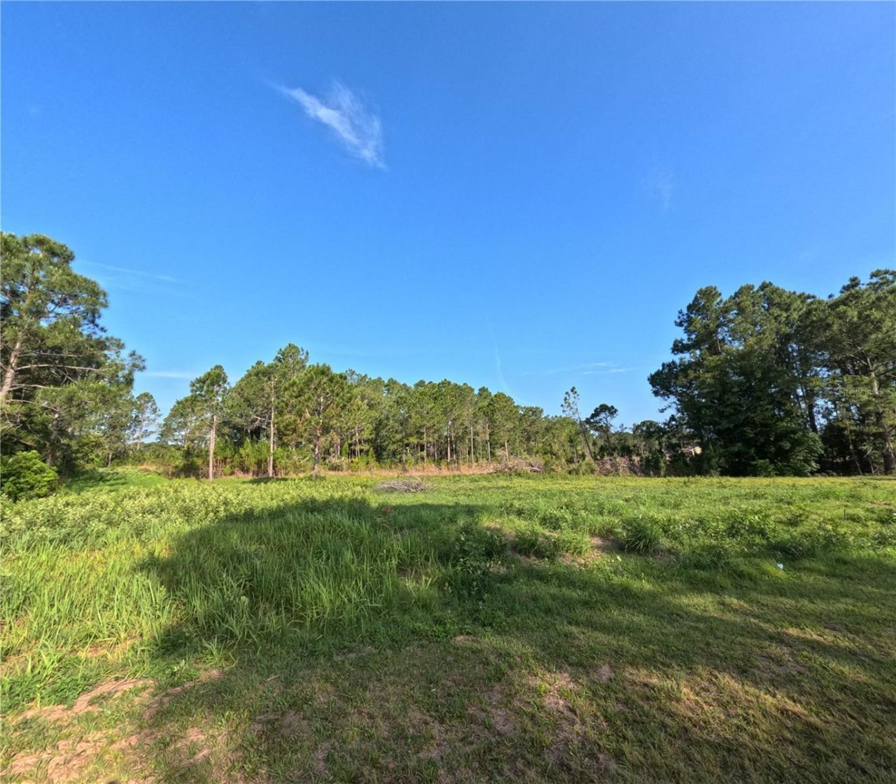 11031 Arrowtree Boulevard, Clermont, FL 34715 Photo