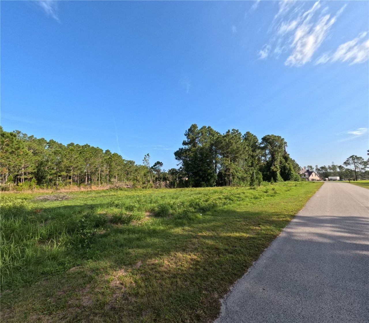 11031 Arrowtree Boulevard, Clermont, FL 34715 Photo