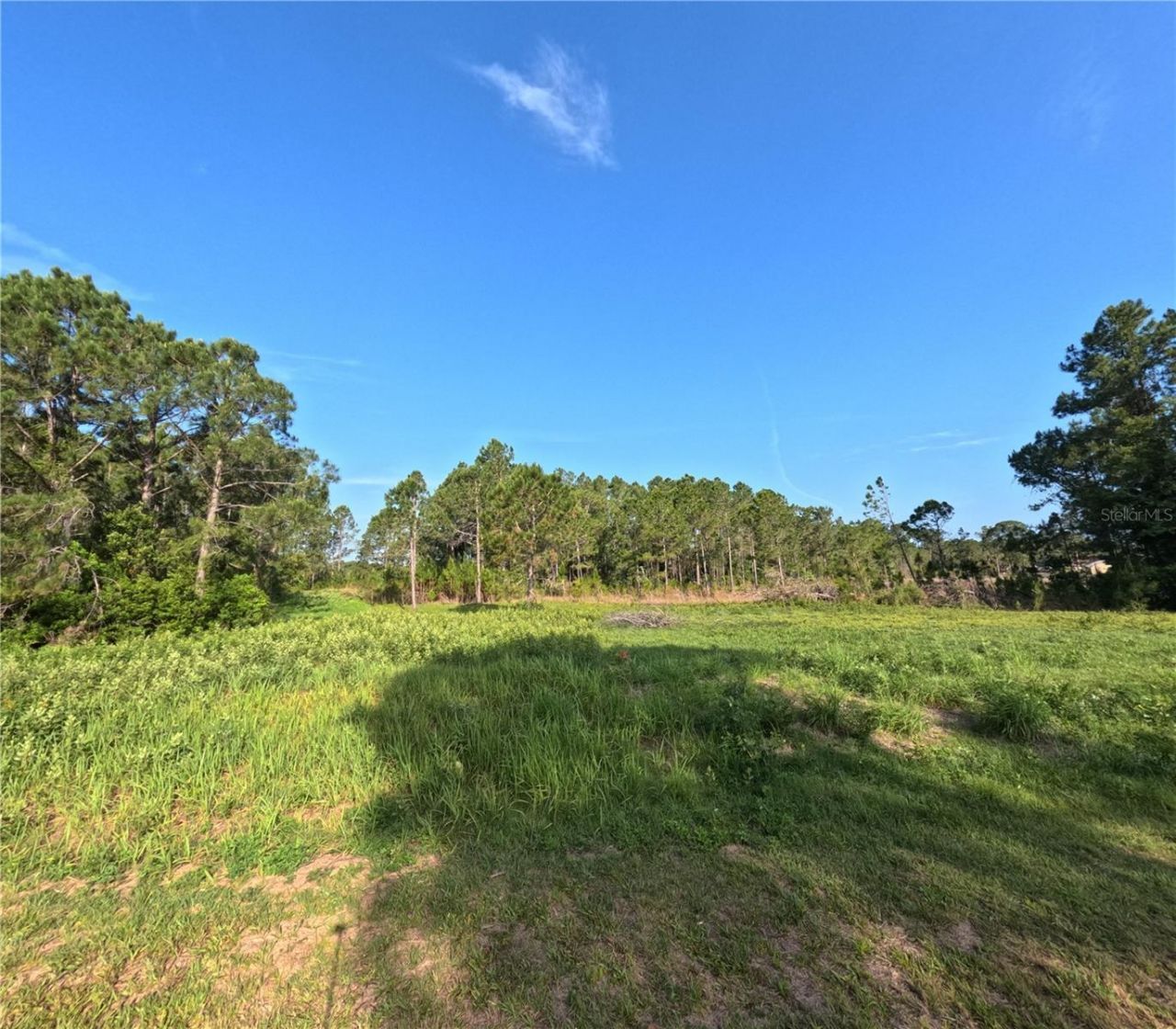 11031 Arrowtree Boulevard, Clermont, FL 34715 Photo