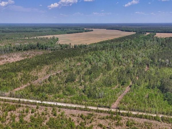 0 Guinea Mill Road, Ernul, NC 28527