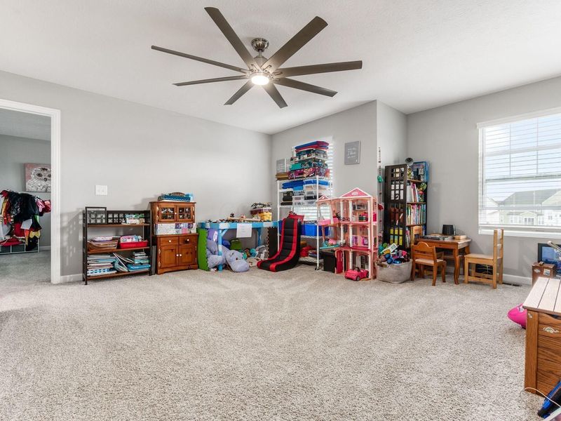 107 Mahogany Drive, Lewis Center, OH 43035 Photo 14