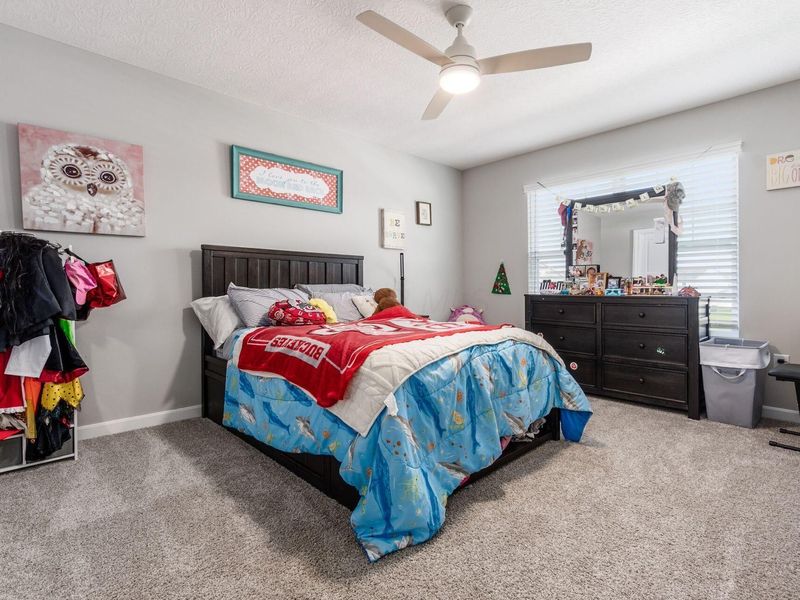 107 Mahogany Drive, Lewis Center, OH 43035 Photo 21