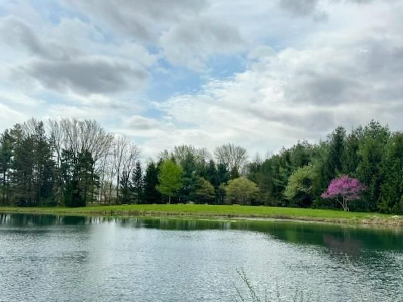 2959 Taylortown Road , Shelby, OH 44875 Photo 2