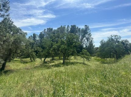 4069 Parrotts Ferry Rd, Vallecito, CA 95251 Photo