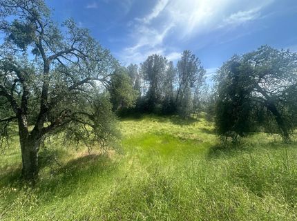 4069 Parrotts Ferry Rd, Vallecito, CA 95251 Photo