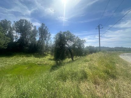 4069 Parrotts Ferry Rd, Vallecito, CA 95251 Photo