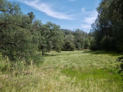 4069 Parrotts Ferry Rd, Vallecito, CA 95251 Photo