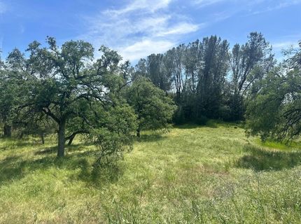4069 Parrotts Ferry Rd, Vallecito, CA 95251 Photo