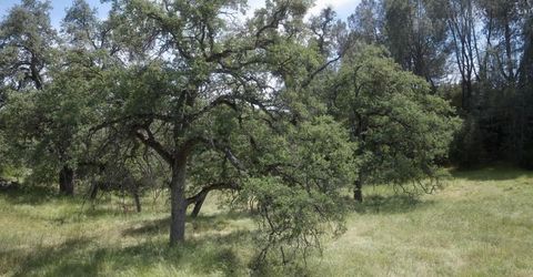 4069 Parrotts Ferry Rd, Vallecito, CA 95251 Photo