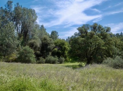4069 Parrotts Ferry Rd, Vallecito, CA 95251 Photo