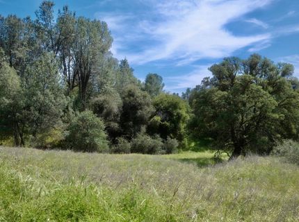 4069 Parrotts Ferry Rd, Vallecito, CA 95251 Photo