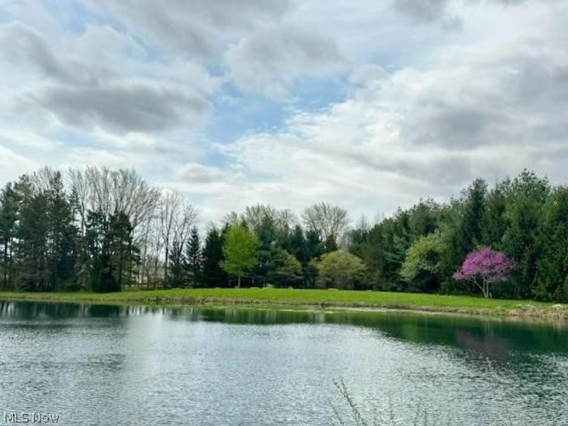 2959 Taylortown Road, Shelby, OH 44875 Photo 2