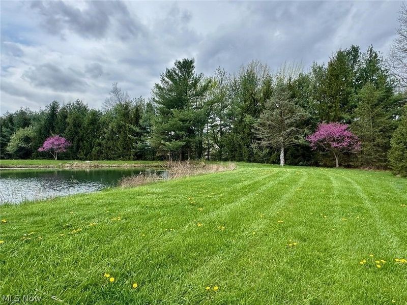 2959 Taylortown Road, Shelby, OH 44875 Photo 42