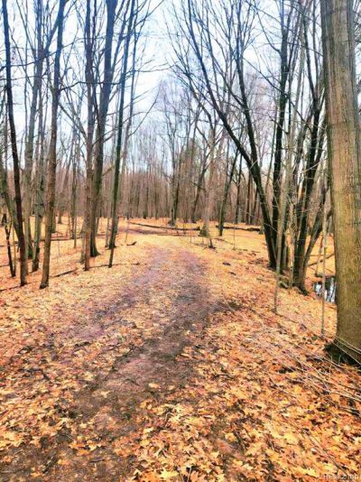Parcel B1 Foley Road, Tyrone Township, MI 48430 Main Photo