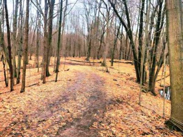Parcel B1 Foley Road, Tyrone Twp, MI 48430