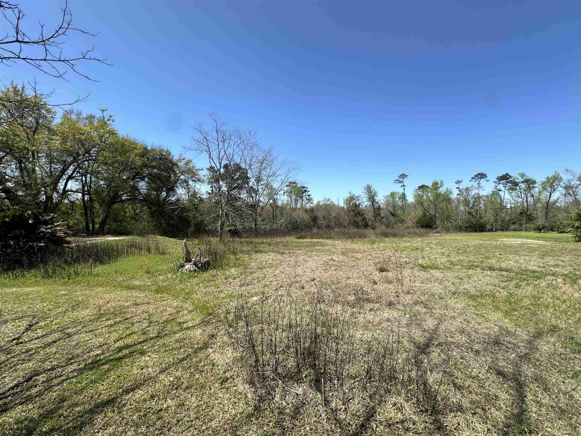 2071 Gay Avenue, Sneads, FL 32460 Photo