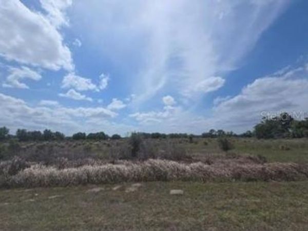 0 ARTIFACT DRIVE , ZEPHYRHILLS, FL 33541