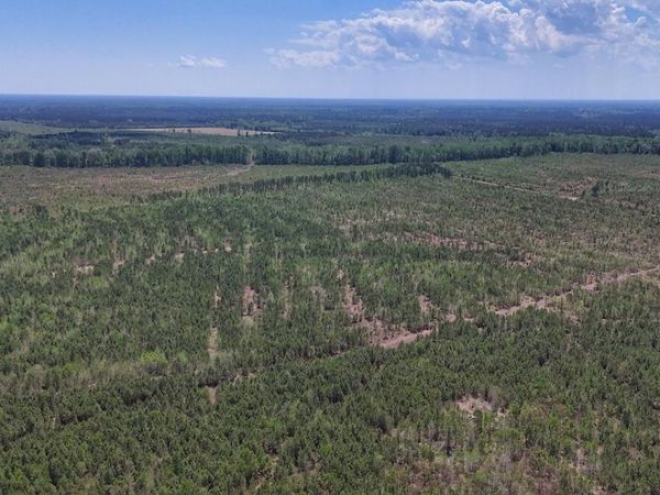 0 Guinea Mill Road, Ernul, NC 28527