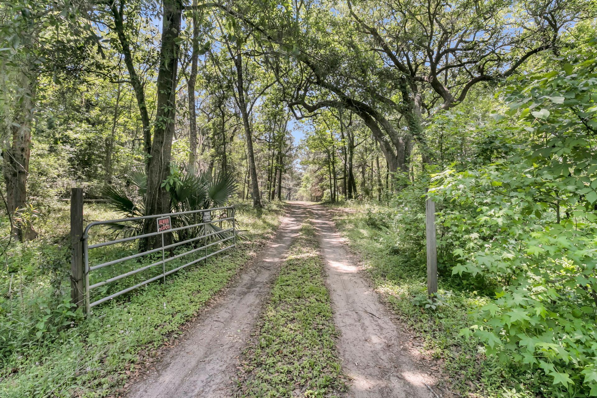 2271 Leadenwah Drive Photo 38