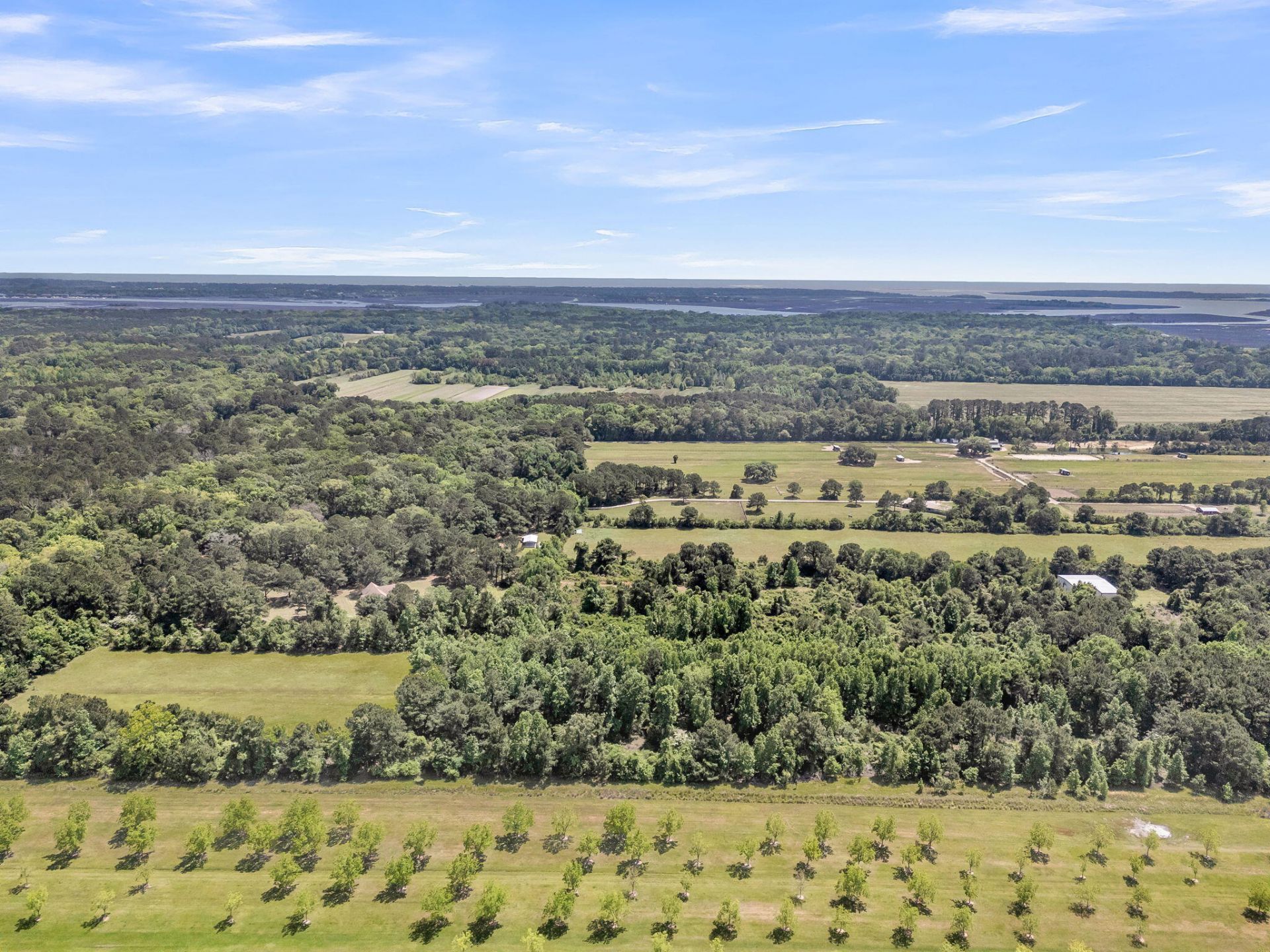 2271 Leadenwah Drive Photo 43