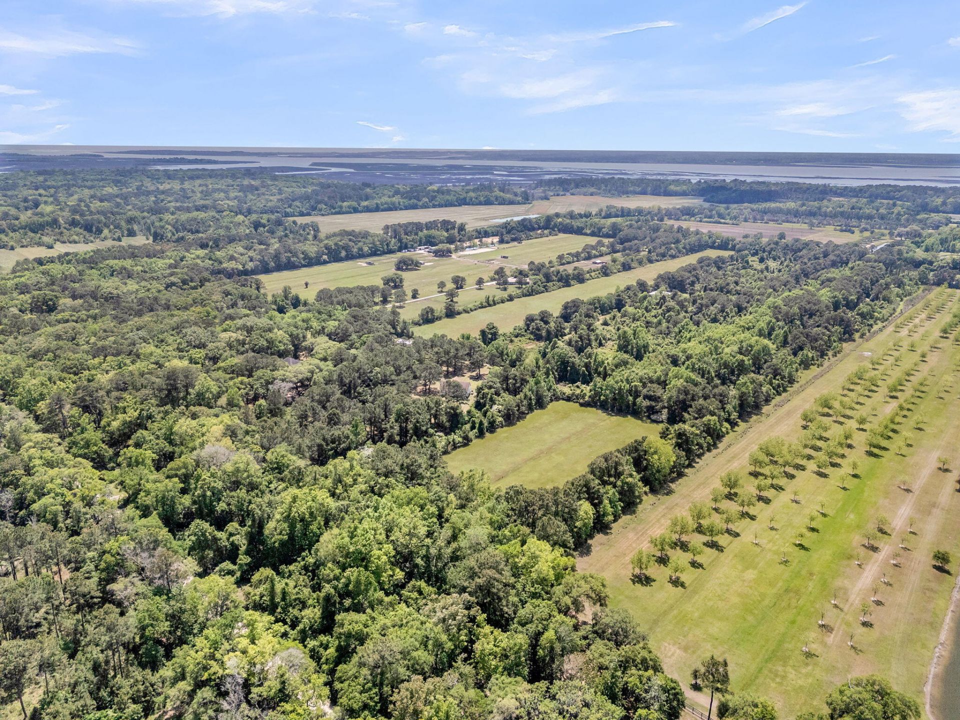 2271 Leadenwah Drive Photo 47