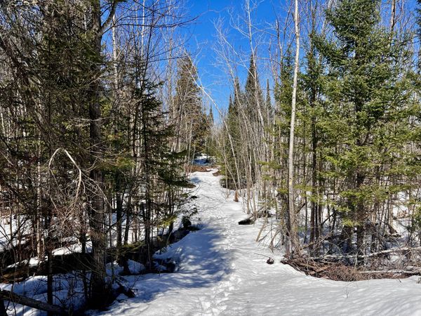 40.44 AC Zolner Road, Cheboygan, MI 49721