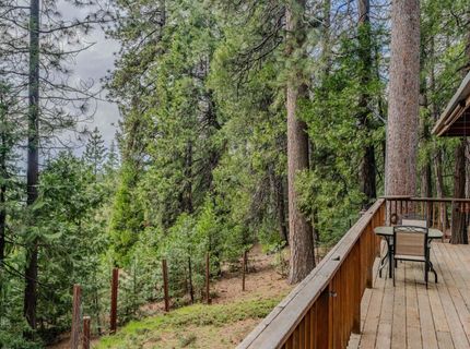 21016 Sierra Circle Dr, Pioneer, CA 95666 Photo