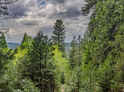 21016 Sierra Circle Dr, Pioneer, CA 95666 Photo